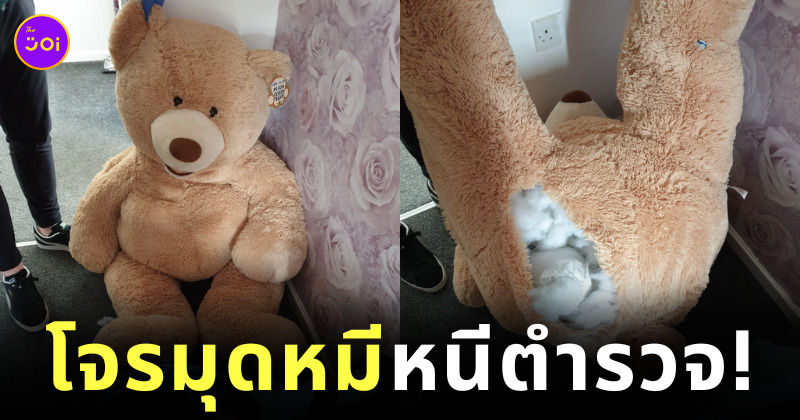 โจรซ่อนตัวในตุ๊กตาหมียักษ์