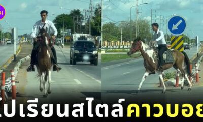 หนุ่มกาฬสินธุ์ควบม้าไปเรียน