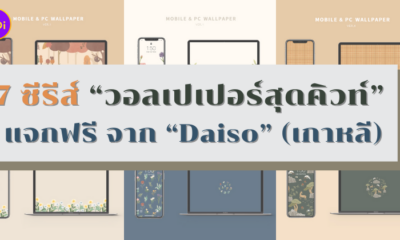 วอลเปเปอร์ daiso เกาหลี