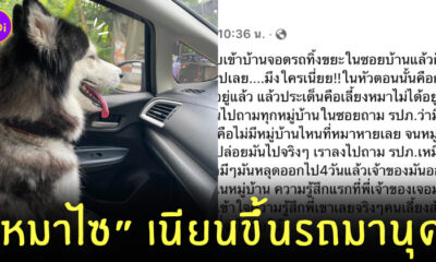 หมาไซกระโดดขึ้นรถหนุ่มมุสลิม
