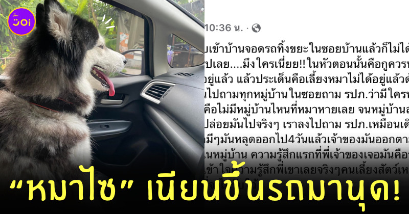 หมาไซกระโดดขึ้นรถหนุ่มมุสลิม