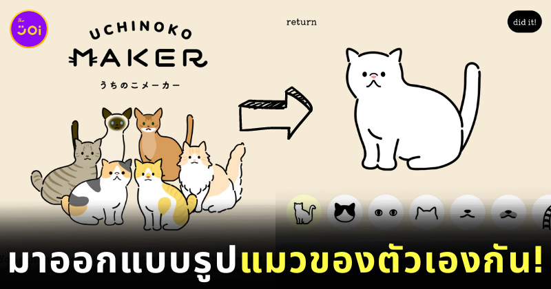 เว็บไซต์ดีไซน์ภาพแมว