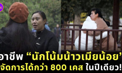 อาชีพนักโน้มน้าวเมียน้อย