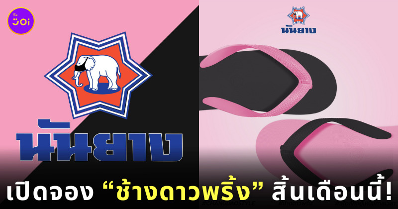 ช้างดาวพริ้ง นันยาง