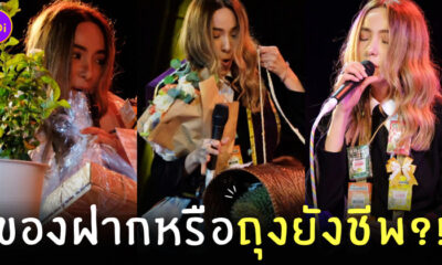 ของฝากจากแฟนเพลงปาล์มมี่