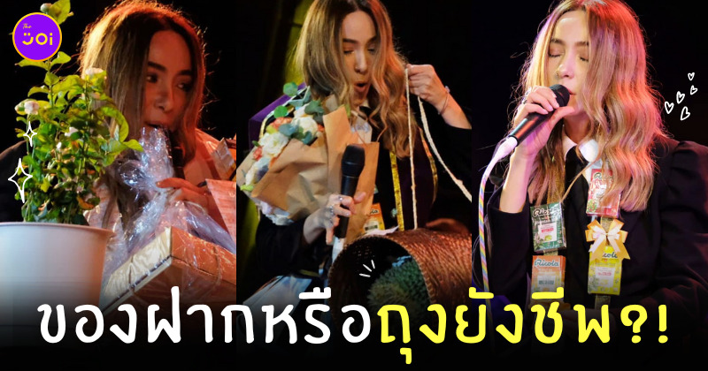 ของฝากจากแฟนเพลงปาล์มมี่
