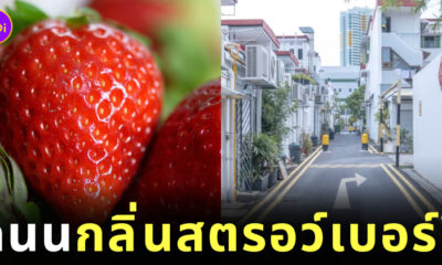 ถนนกลิ่นสตรอว์เบอร์รี