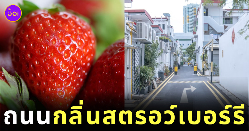 ถนนกลิ่นสตรอว์เบอร์รี