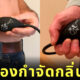 เครื่องกำจัดกลิ่นตด fartvac