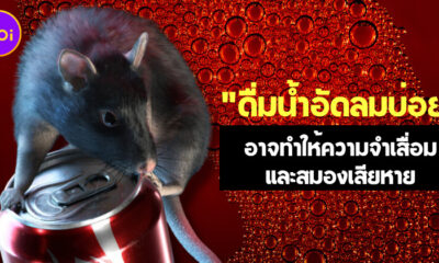 นักวิทยาศาสตร์เผยดื่มน้ำอัดลมบ่อย ๆ อาจทำให้ความจำเสื่อมและสมองเสียหาย