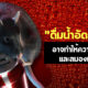 นักวิทยาศาสตร์เผยดื่มน้ำอัดลมบ่อย ๆ อาจทำให้ความจำเสื่อมและสมองเสียหาย