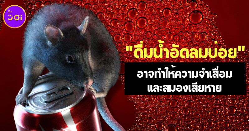 นักวิทยาศาสตร์เผยดื่มน้ำอัดลมบ่อย ๆ อาจทำให้ความจำเสื่อมและสมองเสียหาย