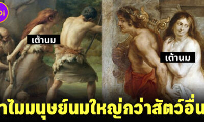 นักสัตววิทยาเผยคำตอบ ทำไมมนุษย์นมใหญ่กว่าสิ่งมีชีวิตอื่น