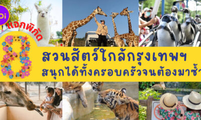 พาเที่ยว 8 สวนสัตว์ใกล้กรุงเทพฯ ที่สนุกได้ทั้งครอบครัวจนต้องมาซ้ำ!