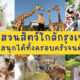 พาเที่ยว 8 สวนสัตว์ใกล้กรุงเทพฯ ที่สนุกได้ทั้งครอบครัวจนต้องมาซ้ำ!