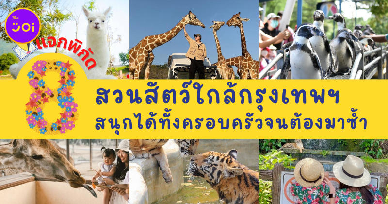พาเที่ยว 8 สวนสัตว์ใกล้กรุงเทพฯ ที่สนุกได้ทั้งครอบครัวจนต้องมาซ้ำ!