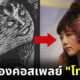 อัลม่า กว๊อก (Alma Kwok) นักแสดงสาวฮ่องกงคอสเพลย์เป็น โทมิเอะ ไม่เน้นสวย แต่เน้นเหมือน