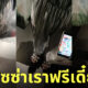 ลูกค้าสาปแช่งไรเดอร์ตกนรก