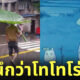 โตโตโร่ ร่มใบไม้