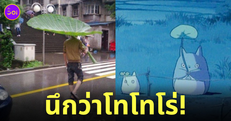 โตโตโร่ ร่มใบไม้