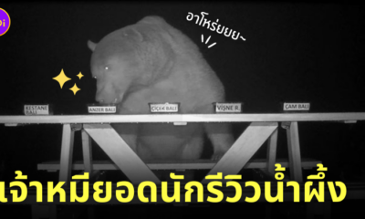 Fleem Template The Joi FBWebsite 2
