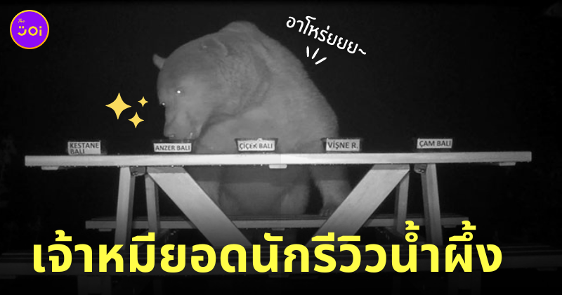 Fleem Template The Joi FBWebsite 2