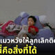 เลี้ยงแมว ลูกติดทีวี