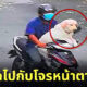 สุนัขลาบราดอร์ โดนลักพาตัว