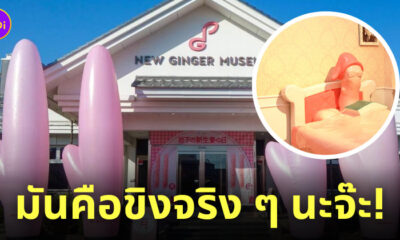 พิพิธภัณฑ์ขิงอ่อน ญี่ปุ่น