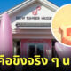 พิพิธภัณฑ์ขิงอ่อน ญี่ปุ่น