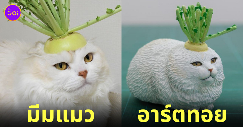 อาร์ตทอยมีมแมวสุดปั่น