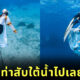 บัณฑิตใส่ชุดครุยถ่ายรูปจบใต้น้ำ