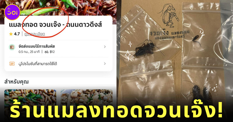 ร้านแมลงทอดจวนเจ๊ง