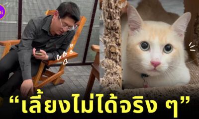 สรยุทธ ทาสแมว จอห์น