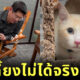สรยุทธ ทาสแมว จอห์น