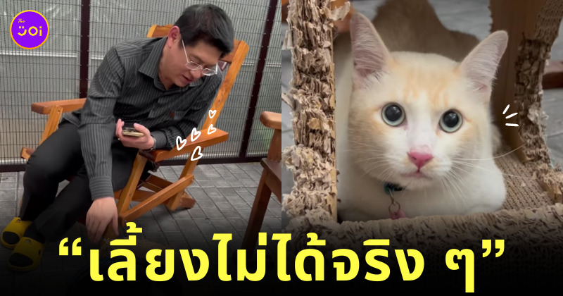 สรยุทธ ทาสแมว จอห์น