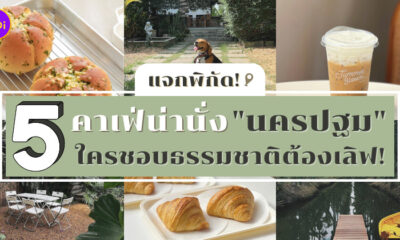 คาเฟ่นครปฐม