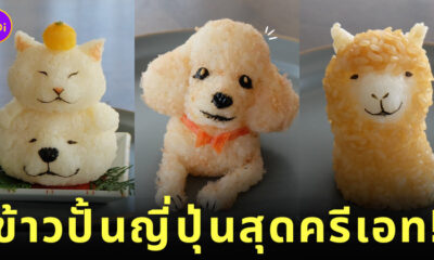 ข้าวปั้นญี่ปุ่นสุดอาร์ต