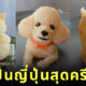 ข้าวปั้นญี่ปุ่นสุดอาร์ต