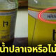 น้ำปลาเจ