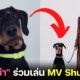 น้อง Love หมาของ ลิซ่า BLACKPINK ร่วมซีนใน MV Shut Down