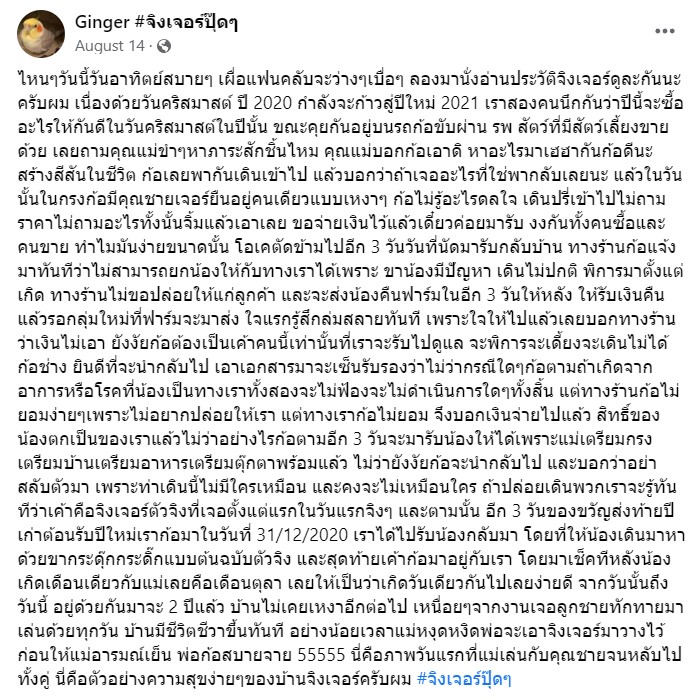 ประวัติ ที่มา จิงเจอร์ปุ๊ดๆ