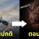 ภาพใบหน้าของมด ซูม