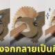 กบเหลาดินสอ จิ้งจก กิ้งก่า น่ารัก