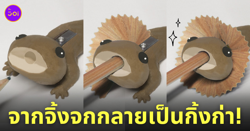 กบเหลาดินสอ จิ้งจก กิ้งก่า น่ารัก