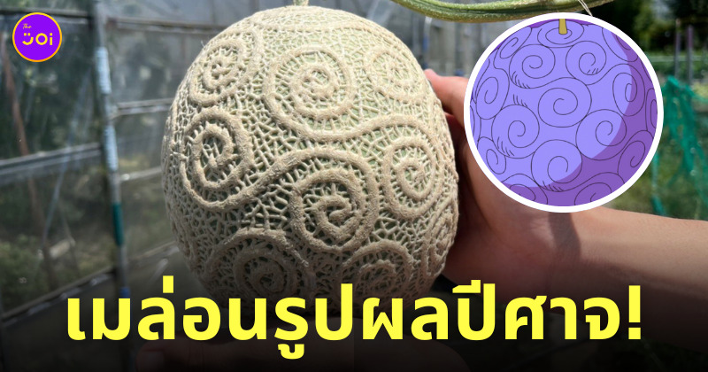 ผลปีศาจโกมุ โกมุ ของจริง