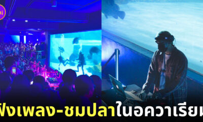 ฟังเพลงในอควาเรียม บางแสน