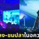 ฟังเพลงในอควาเรียม บางแสน