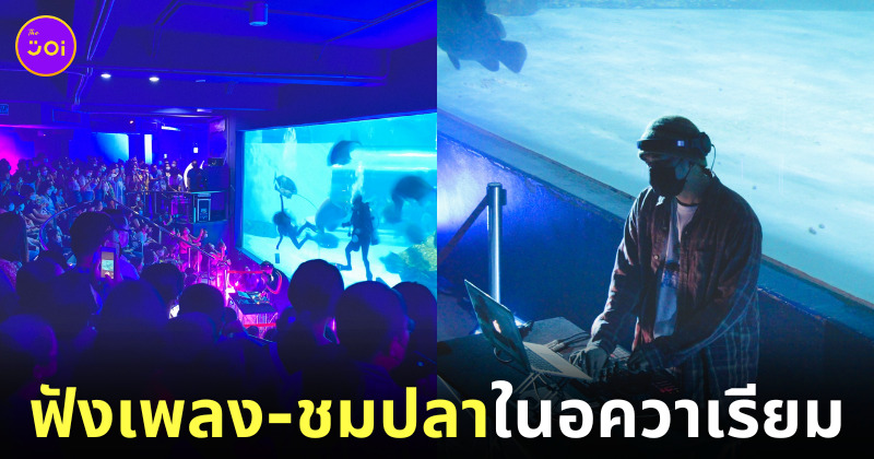 ฟังเพลงในอควาเรียม บางแสน