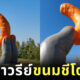 อนุสาวรีย์ชีโตส